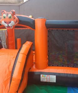 Castelo_tigrinho Castelo_tigrinho